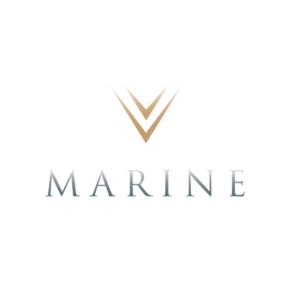 Picture of V-Marine Team